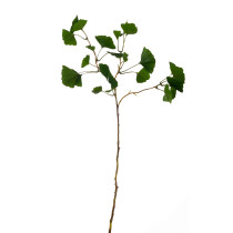 BRANCHE FEUILLES GINKO